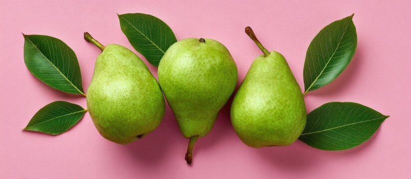 Pears & Leaves - Powered by Adobe