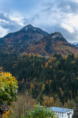 peak from mountain, steep slope, mountainside with forests, autumnal colored under cloudy sky, steep meadow with autumnal trees, viewpoint on hill, hiking area through autumn trees