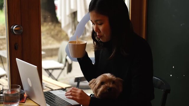Asian woman holds a cup of cappuccino and works on her laptop in a cozy cafe, with her Yorkshire Terrier sitting calmly on her lap. Peaceful morning scene. Horizontal 4k footage