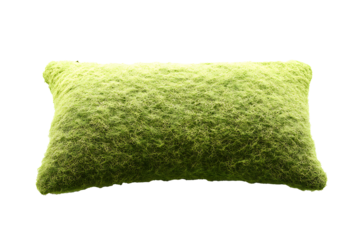 Bright green cushion moss isolated on a transparent background with soft natural shadows 