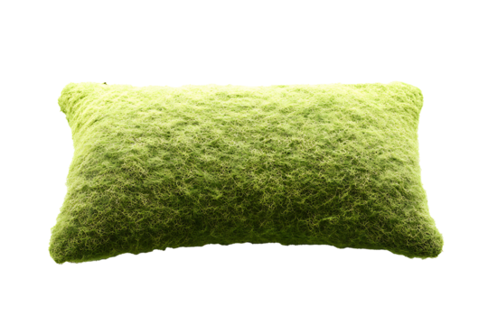 Bright green cushion moss isolated on a transparent background with soft natural shadows 