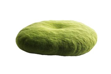 Bright green cushion moss isolated on a transparent background with soft natural shadows 