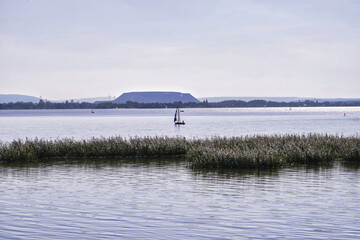 Segelboot auf dem Steinhuder Meer nahe Hannover