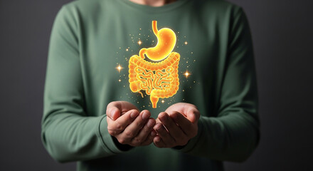 A person's hands gently hold a glowing, stylized illustration of the human digestive system, symbolizing health and well-being.
