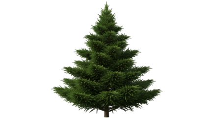A single, realistic green christmas tree with a transparent background