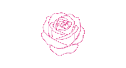 Neon pink outline of a rose flower, detailed petals image, isolated on white or transparent background, AI