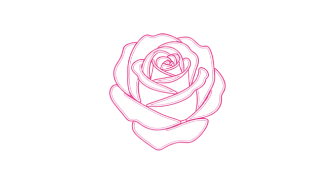 Neon pink outline of a rose flower, detailed petals image, isolated on white or transparent background, AI