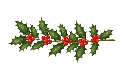A festive branch of holly with green leaves and red berries