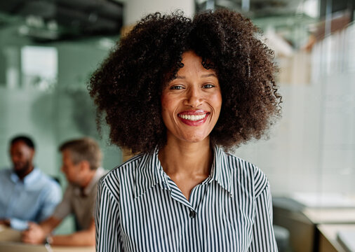 Group of young business people having a meeting or presentation and seminar in the office. Portrait of a young businesswoman - Powered by Adobe