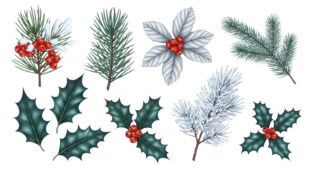 Collection of christmas elements including pine branches, holly, poinsettia, and berries