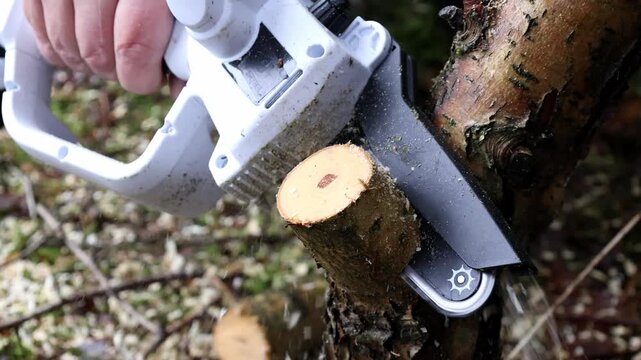 Close-up of Man trims tree branches with cordless chain saw for pruning trees. High quality 4k footage