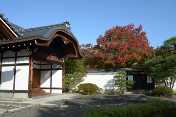 妙覚寺　大玄関と紅葉　京都市上京区新町通鞍馬口下る