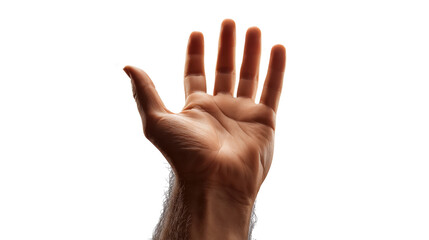 Raised human hand in prayer to God on transparent background, biblical symbol of worship and blessing, isolated PNG cutout for Christian design