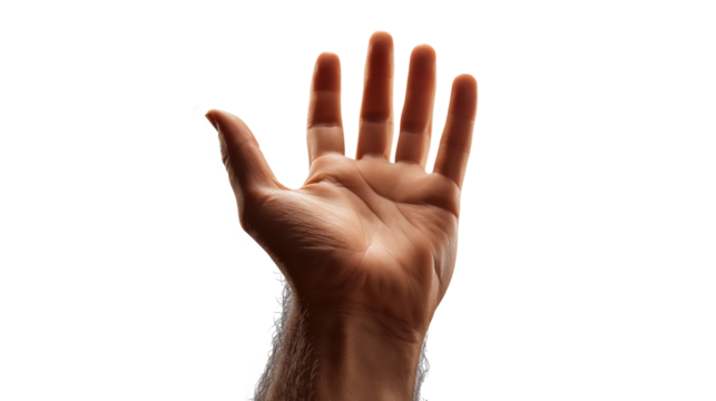 Raised human hand in prayer to God on transparent background, biblical symbol of worship and blessing, isolated PNG cutout for Christian design