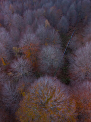 Aerial view from a drone of the 