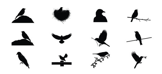 Collection of silhouettes of various birds in different poses and settings against a white background