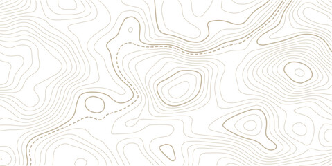 Fototapeta premium The golden on white contours topography stylized relief diagram line wave carve pattern background 