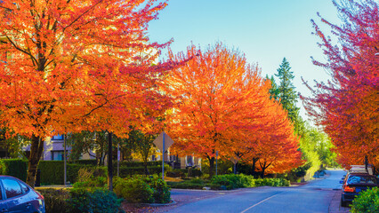 Fall season suburban street scene in Burnaby, BC, Canada.