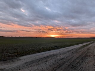 A serene landscape with a dirt road leading towards a beautiful sunset