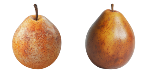 Two ripe pears displayed side by side. Each pear is a different shade of brown, with a small stem