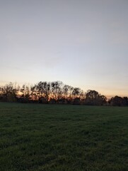 A serene sunset over a vibrant green field, with silhouetted trees against the colorful sky