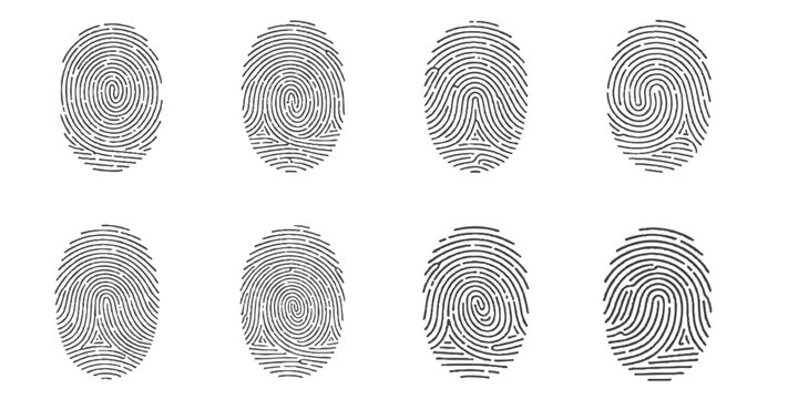 Abstract fingerprint security pattern set for digital identity access isolated on white background