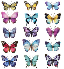 Obraz premium A beautiful collection of fifteen colorful watercolor butterflies isolated on white.