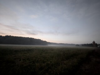 A serene misty landscape with a field and trees under a dim sky. The fog blankets the field, creating a sense of tranquility