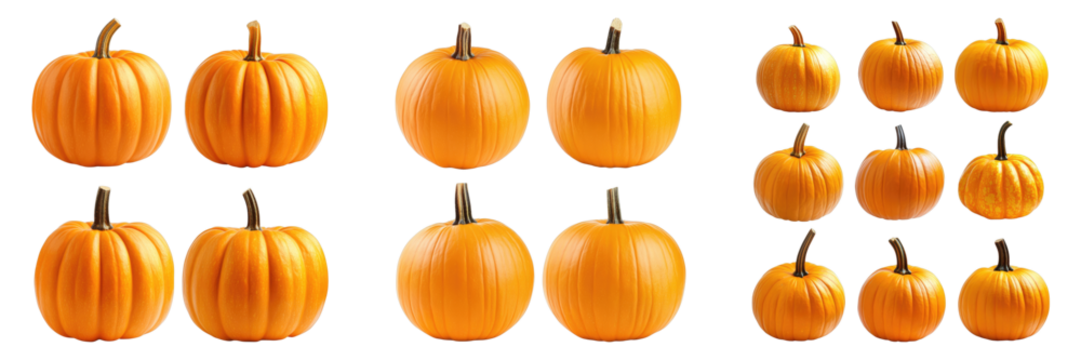 An assortment of pumpkins, each one showcasing a vibrant orange color and distinct features, creating an attractive and diverse collection