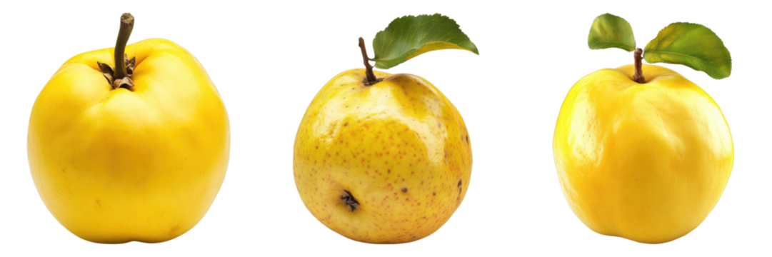 Three ripe, yellow apples in a row, each with a unique shape and texture