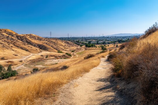 Vibrant Day in Baldwin Hills: A Detailed Look at Kenneth Hahn State Recreation Area's Colorful Garden and Wildlife