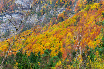 Fototapeta premium Beautiful and foggy valley in autumn in Ordesa National Park Pyrenees, Huesca Aragon Spain