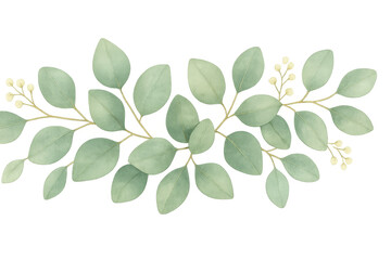 Eucalyptus leaves branch garland with watercolor texture, creating greenery botanical decorative design element