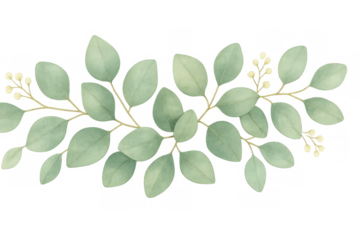 Eucalyptus leaves branch garland with watercolor texture, creating greenery botanical decorative design element