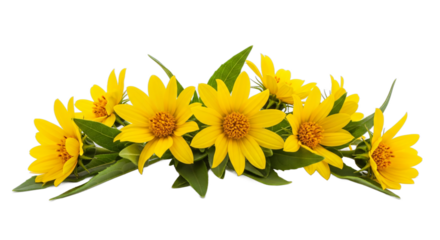 Cheerful Yellow Daisies Floral Arrangement on White