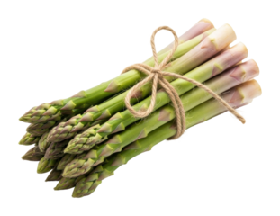 Harvesting fresh asparagus bundles market food isolated on transparent background