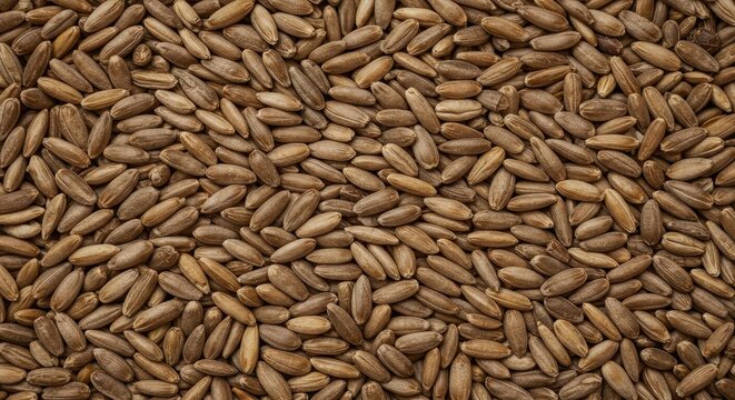 Abundant natural texture created by many dried organic cereal seeds, forming a useful agricultural harvest backdrop for culinary design, agriculture, storage, grain