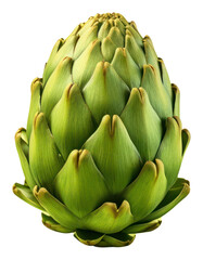 Obraz premium PNG Artichoke vegetable plant fruit.