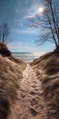 Fototapeta premium Sunlit Trail through Dunes to Lake Michigan at Kohler Andrae State Park, Wisconsin