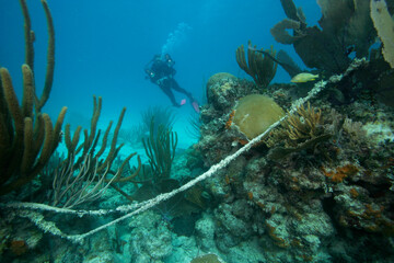 Underwater photographer examines tangled anchor line which is damaging a coral reef.