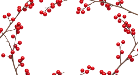 Frame of red berries on branches
