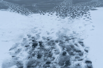 Melting of cold water and ice in river in early spring. Meltwater and white tones of ice contrast with the dark wave. Stream of snow in natural parkland. Global warming or climate change concept.