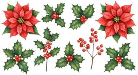 A collection of christmas elements including poinsettias, holly sprigs with berries, and berry branches, isolated on a transparent background