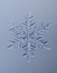 Intricate snowflake crystal against a soft, blurred background
