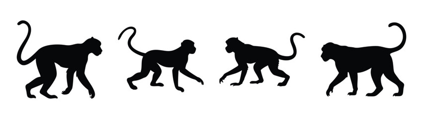 Monkey silhouette vector illustration collection of four monkeys in black and white design style