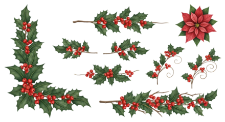 A collection of christmas holly elements including corner, border, and single sprigs with red berries and poinsettia flower
