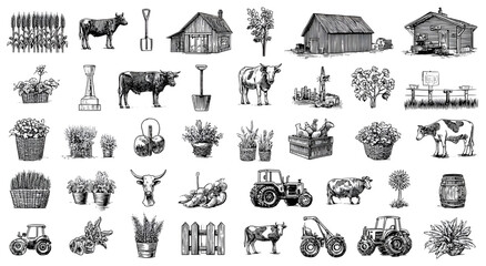 Obraz premium Hand drawn agriculture and farming elements collection.