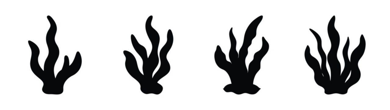 Black and white vector illustration of seaweed marine plants ocean algae sea grass silhouette art