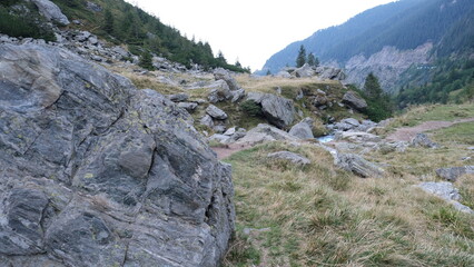 Beautiful landscape, mountain creek stream