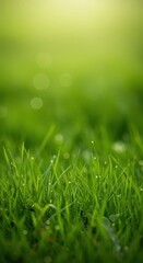 Fototapeta premium Soft focus background image featuring lush green grass and subtle springtime elements, perfect for displaying products or overlaying text ,calm ,backdrop ,cute